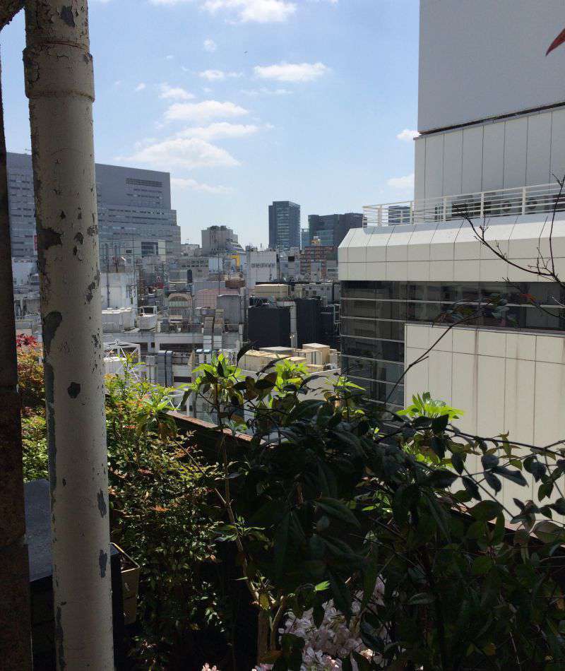 Photograph of Slightly industrial, but quiet and pleasant rooftop view of Tokyo from PARCO in Shibuya. The plants on the terrace create a relaxing natural environment