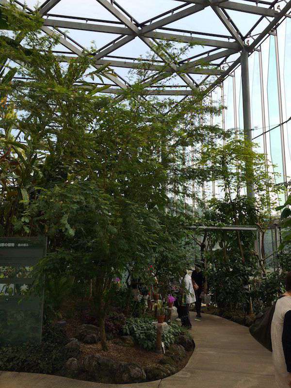 Photograph of Shinjuku Gyoen botanical greenhouse