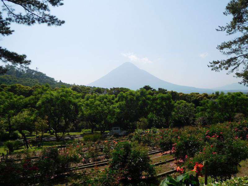Photograph of View of Kaimondake volcano from the nearby Kagoshima flower park